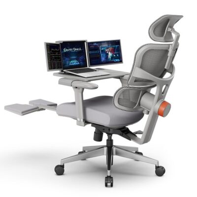 NEWTRAL NT002 Ergonomic Chair Gray